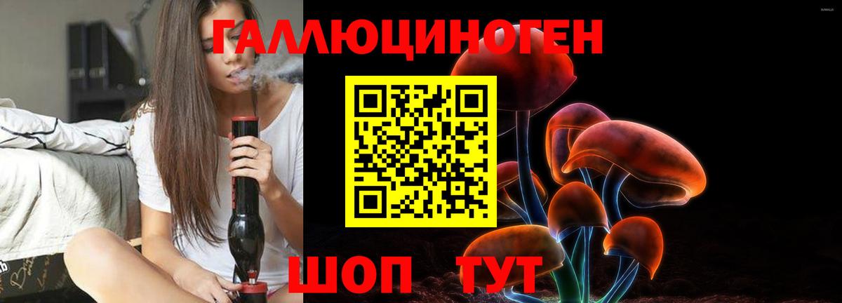 Галлюциногенные грибы Psilocybine cubensis Нижний Тагил